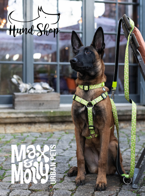 Promoción HundShop